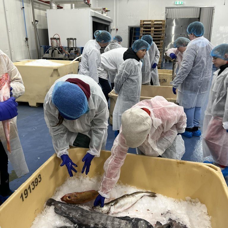 441541109_820082720048252_3189369896868007353_n