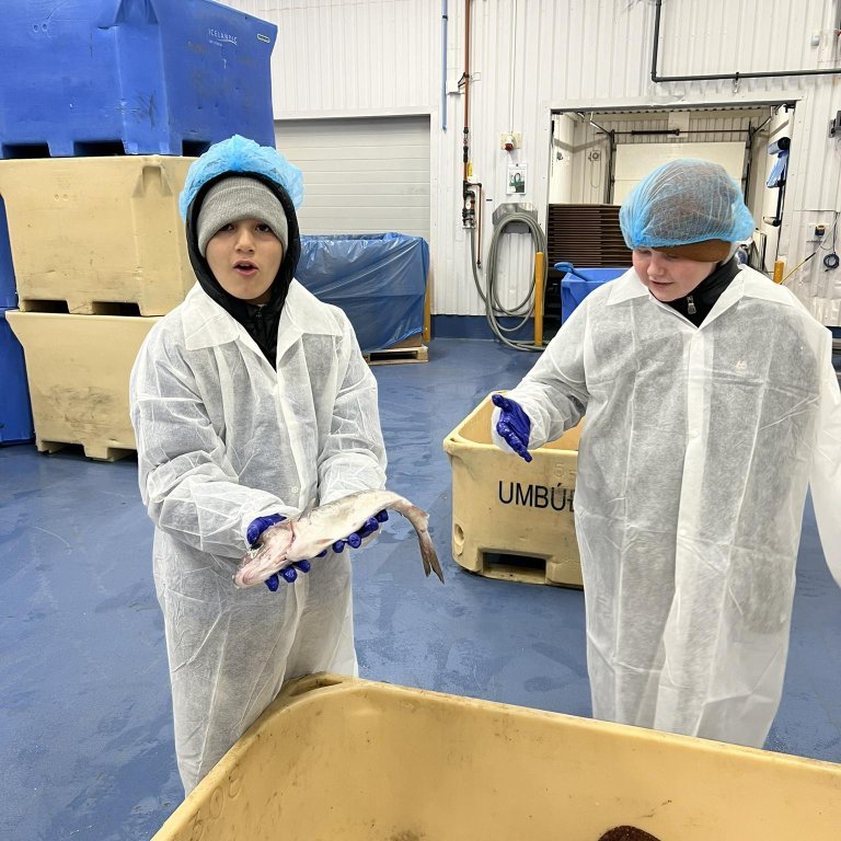 441551956_777820371003161_564811367312739614_n