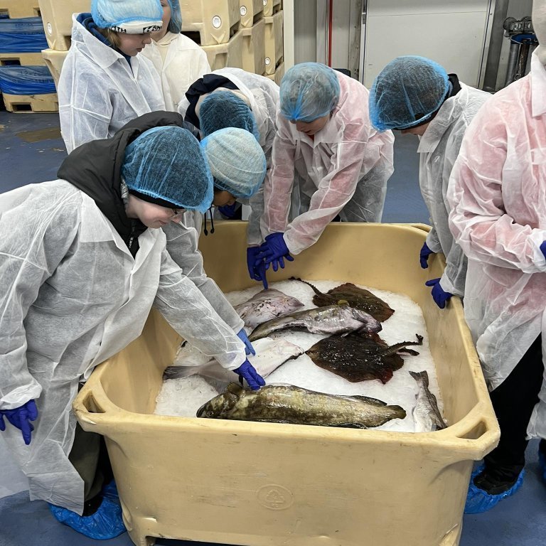 441619949_869769271861661_1543275609221659717_n