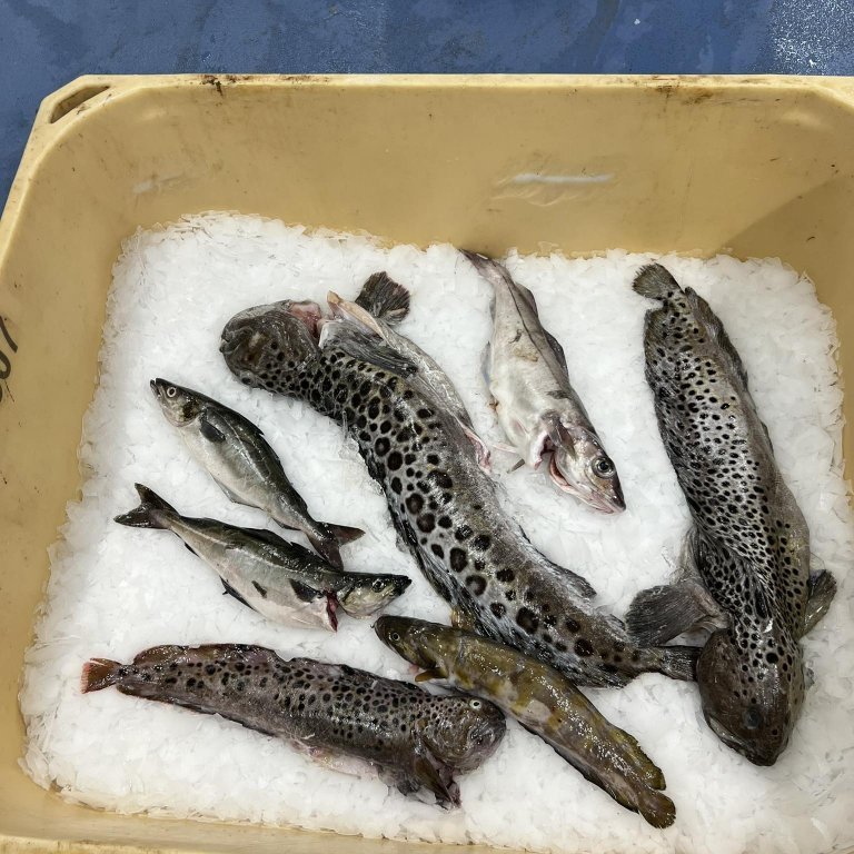 441675149_1216371109774077_6709593777869115668_n