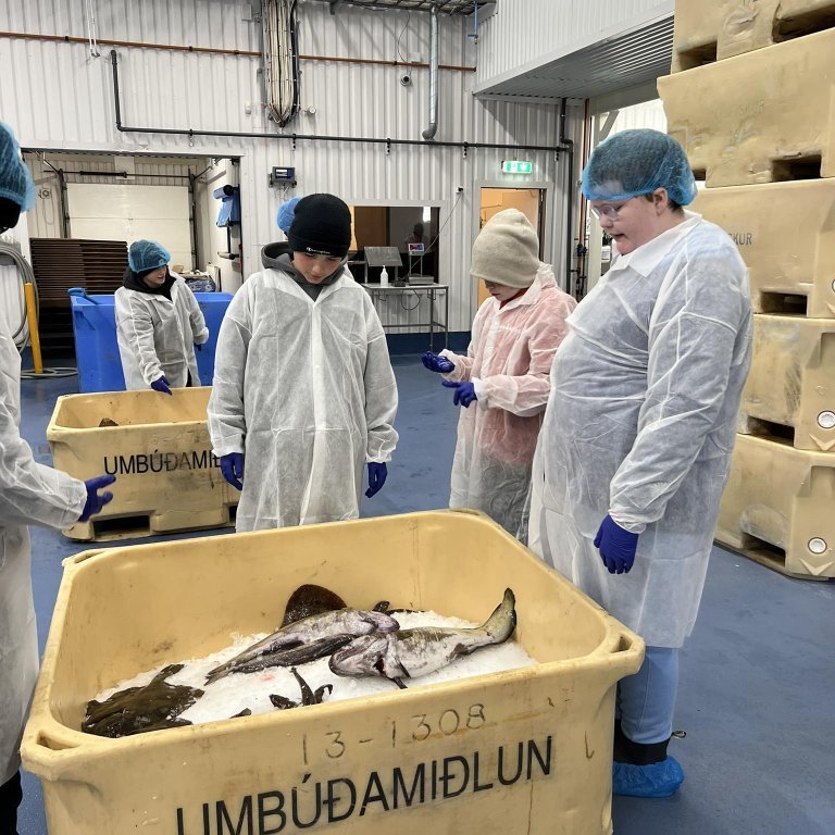 441691991_810304807367892_3063900515844937711_n