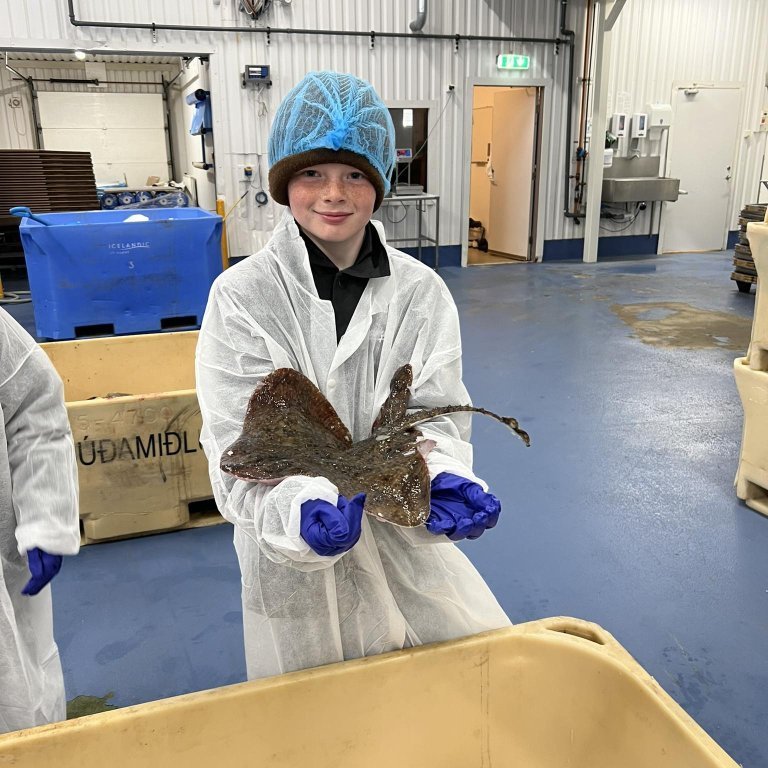 441869278_437635562413392_2759810643101355916_n