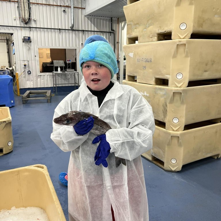 441894400_487854420340184_2164095586949501039_n