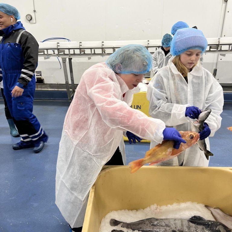 441900958_423999383885164_6823582257437226013_n