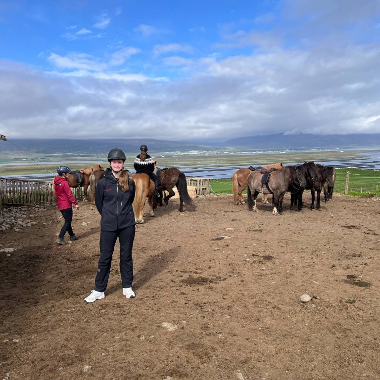 messenger_creation_745cafc0-fd3d-4f04-b3f3-6599a0017560