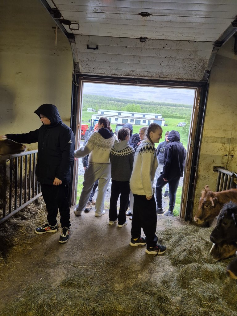 Vorferð 9. bekkjar - miðvikudagur