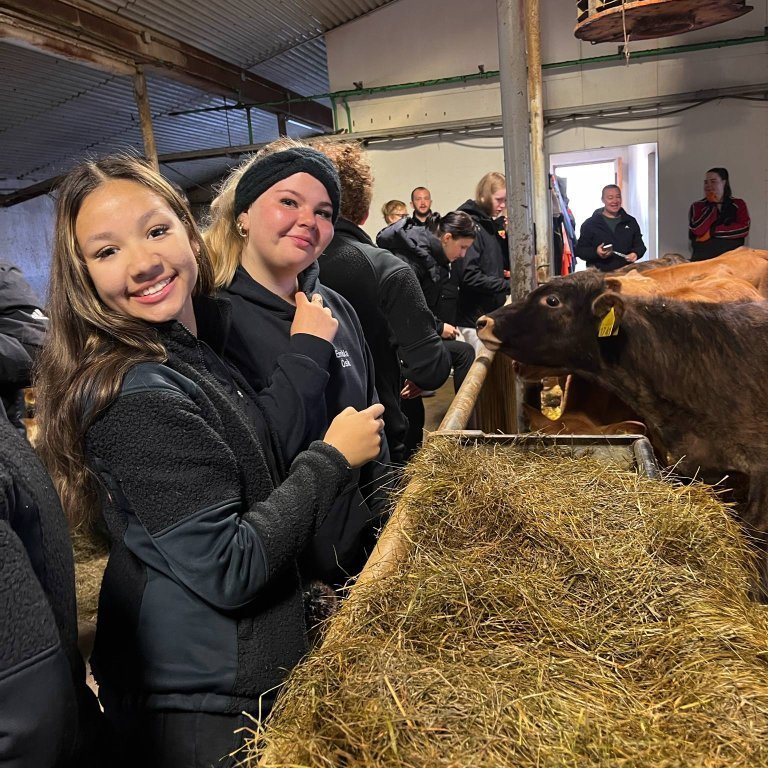 messenger_creation_0dd8c6e2-ff6d-4838-b1be-15441564eace