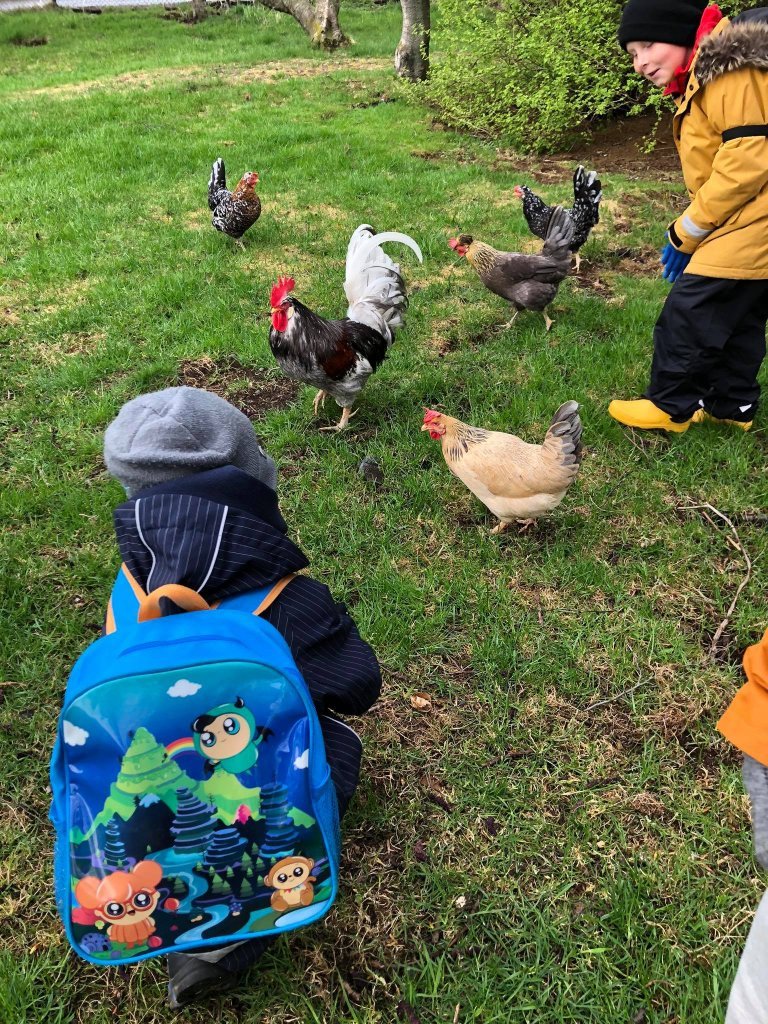 Vorferð í Húsdýragarðinn og Sólbrekkuskóg.