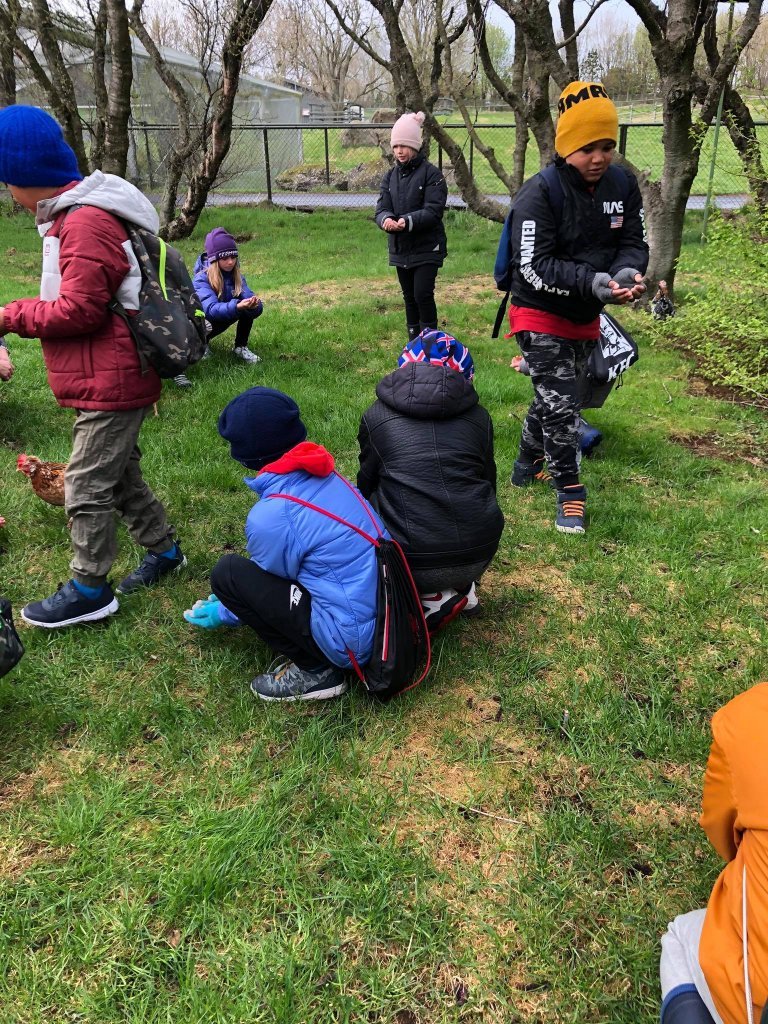 Vorferð í Húsdýragarðinn og Sólbrekkuskóg.