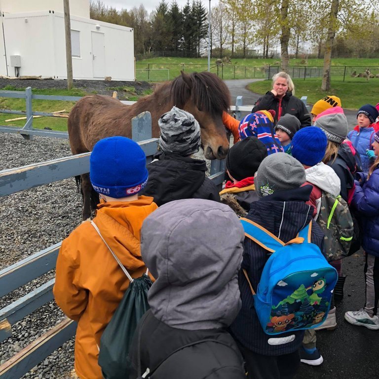 100345043_1333543263503042_6594136995482566656_n