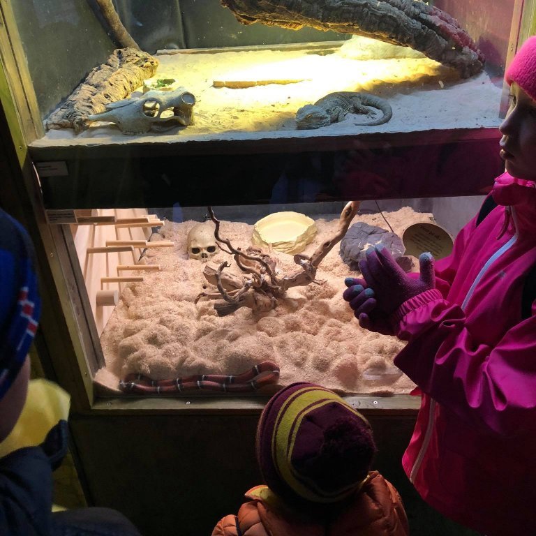 100478075_242533257050575_1405894262297460736_n