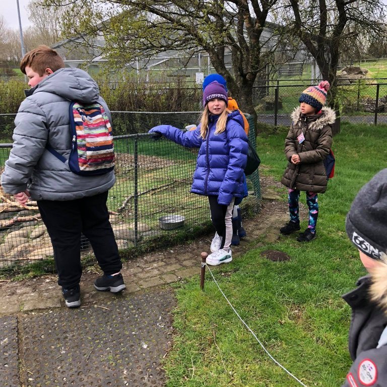 100478327_296609998010977_470816917737701376_n