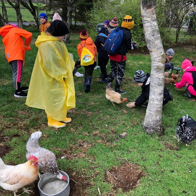 100501374_260425618639659_6486825072928489472_n