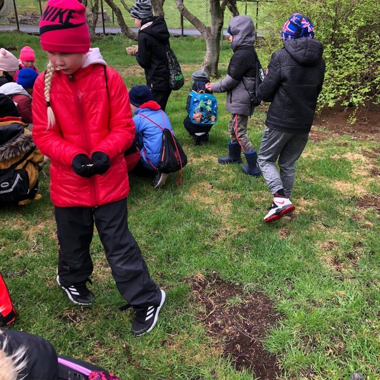 100570178_265059061283319_5580186665340633088_n