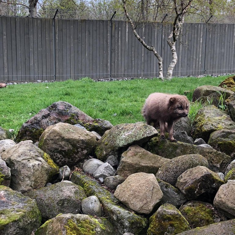 100588889_631687620762065_4961657013315567616_n