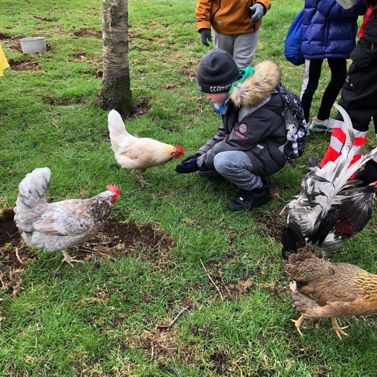 100622678_1105091699861114_3775090019107078144_n