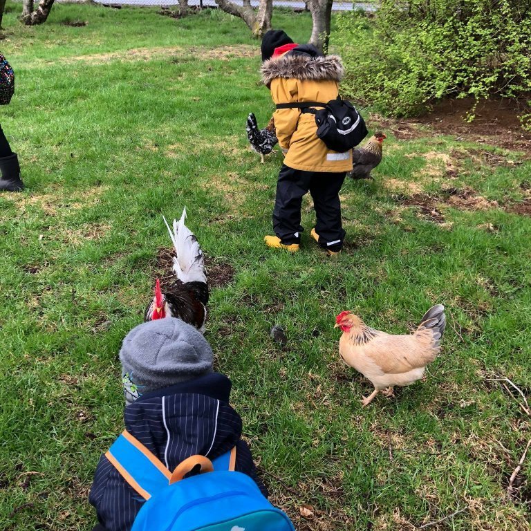 100622839_271591790873132_6840754253842087936_n