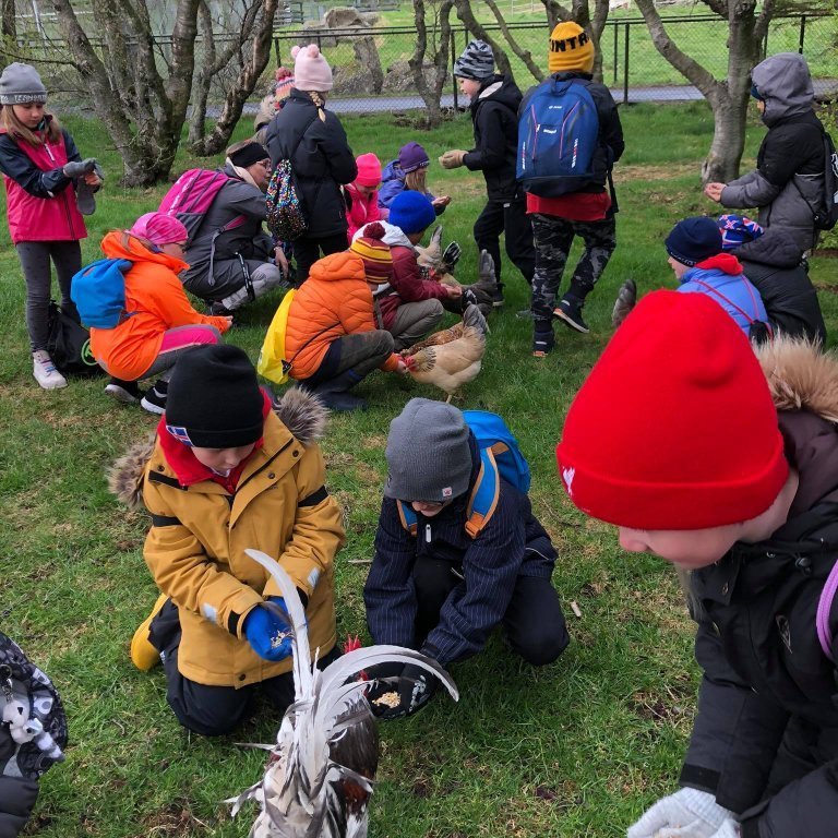 100629546_205527913742202_7454250062462320640_n