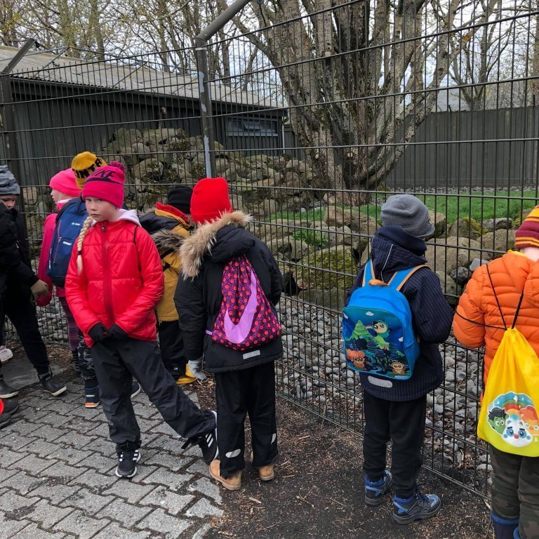 100711122_286817592706444_1931499797202599936_n