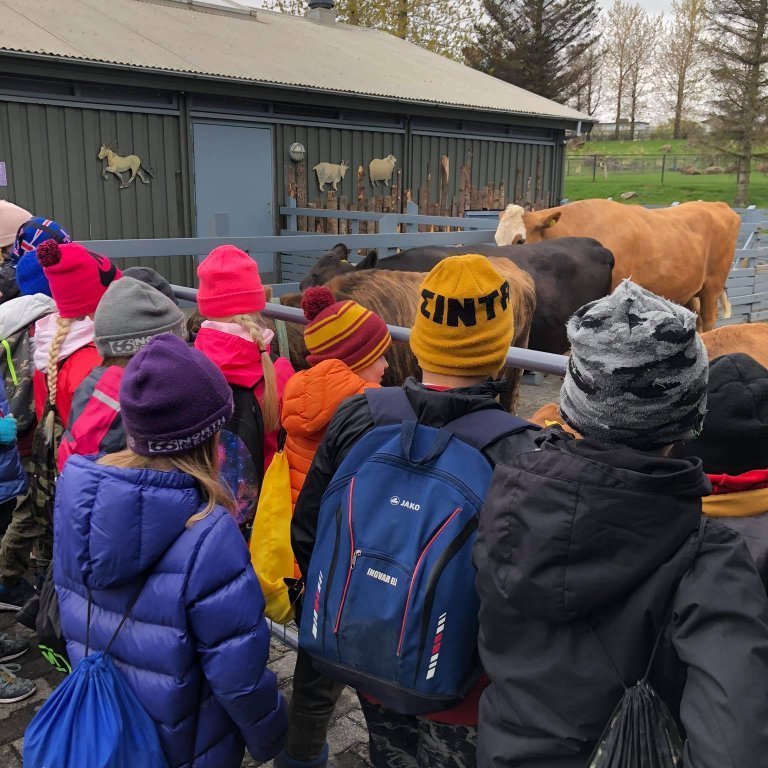 100713625_265903104606753_4503230625255260160_n