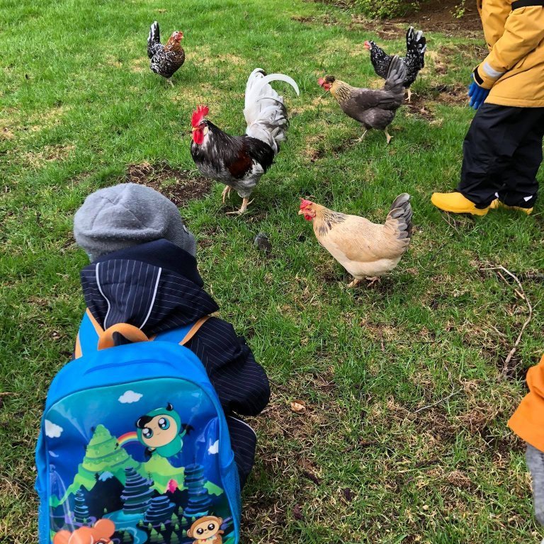 100713625_559765214568066_8392989553836687360_n