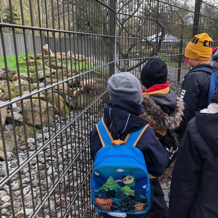 100744536_246655729994980_9211663423429935104_n