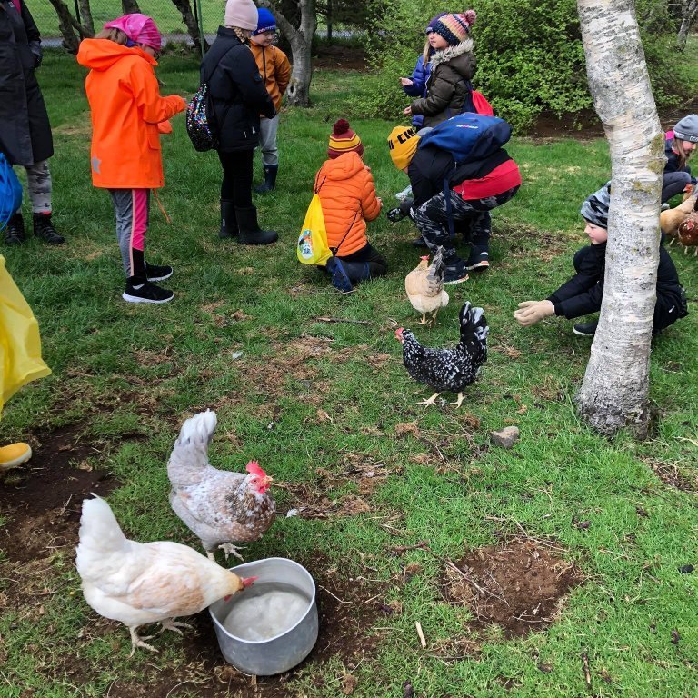 100759596_1560389690788032_3208786654005297152_n