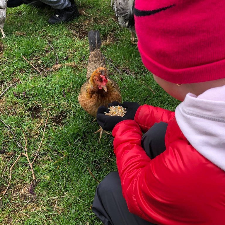 100887710_732976590778448_6700073240011735040_n