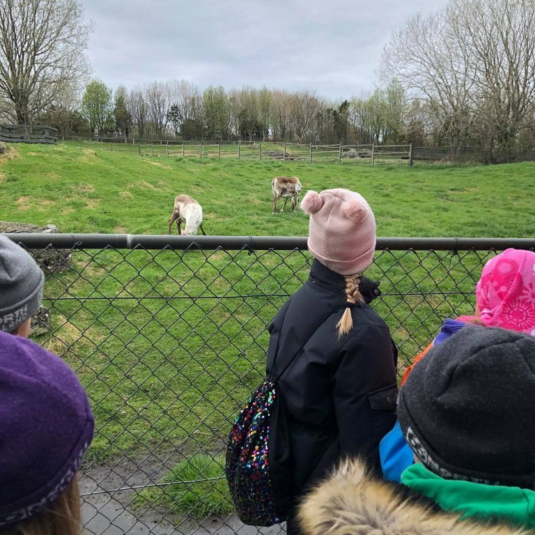 100927819_244477430335994_6936799347602358272_n