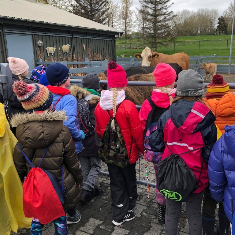 100997202_251510942761810_1067406296266833920_n