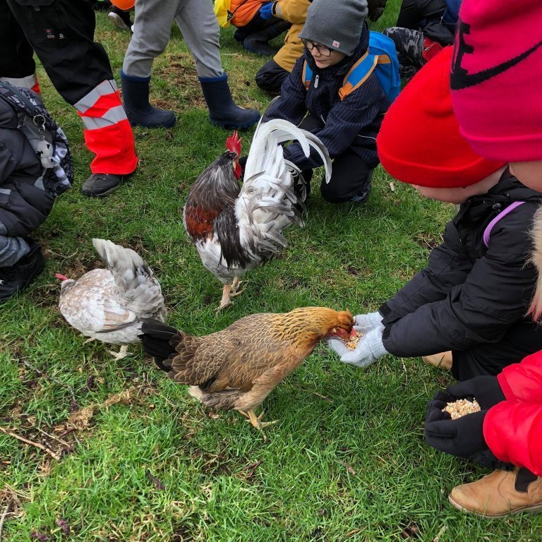 101044628_253264289074766_6093717118736400384_n