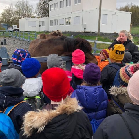 Vorferð í Húsdýragarðinn og Sólbrekkuskóg.