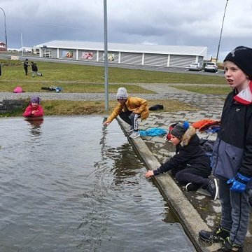 101407356_669728910259478_4221994392891686912_n