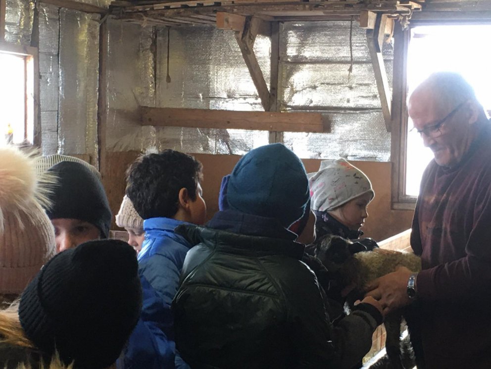 Ferð í fjárhúsið