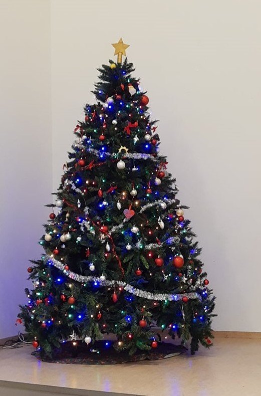 Jólatréð í stofu stendur