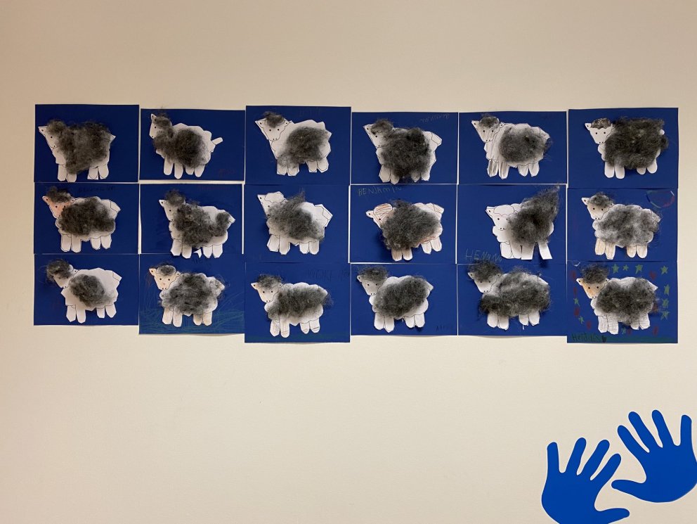 Íslenska sauðkindin