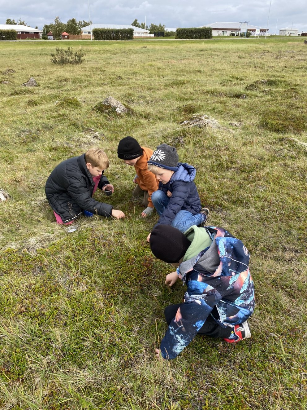 Könguló, könguló vísaðu mér á berjamó