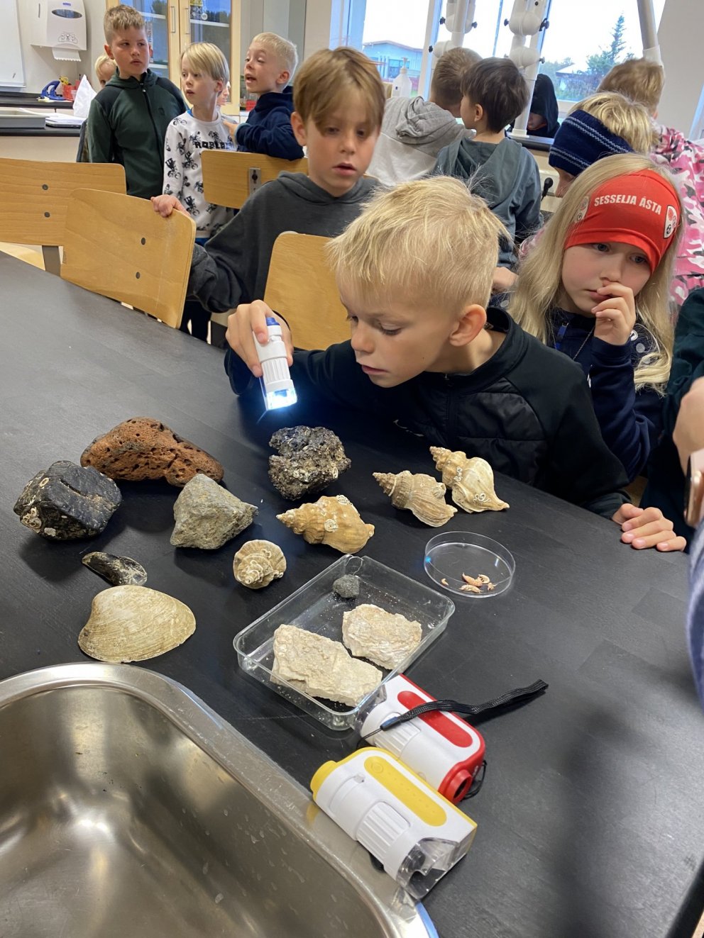 Dagur íslenskrar náttúru