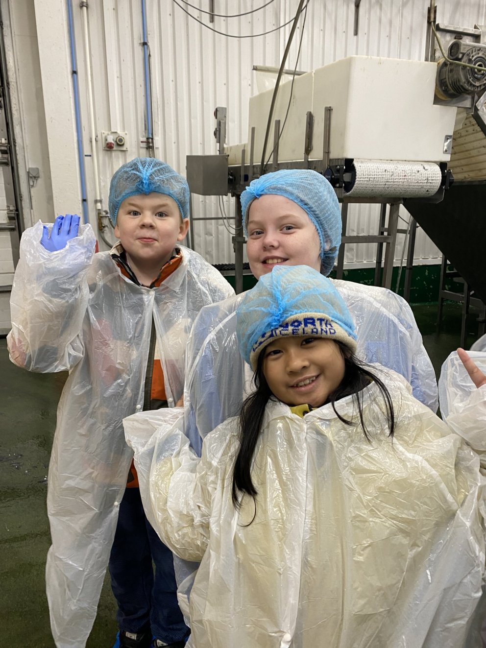 Vettvangsferð í Ný-fisk