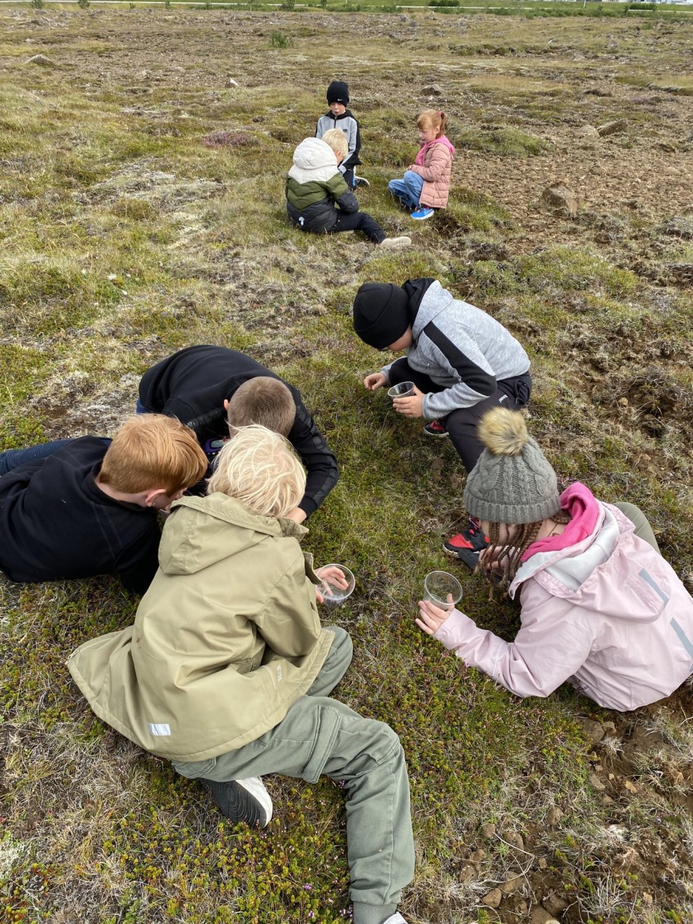 Könguló, könguló, vísaðu mér á berjamó