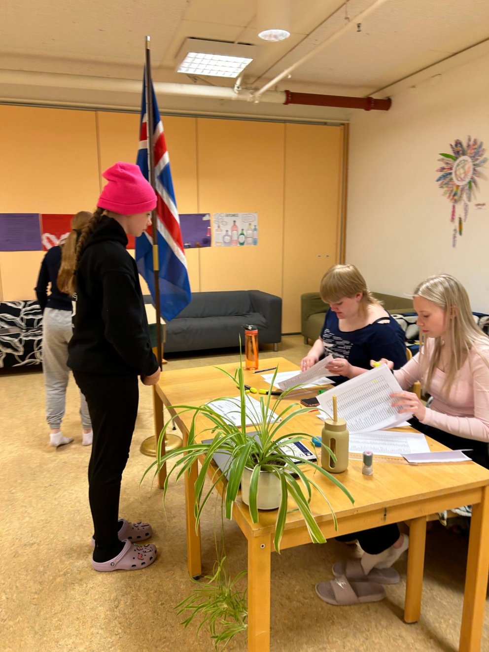 Krakkakosningar 2024