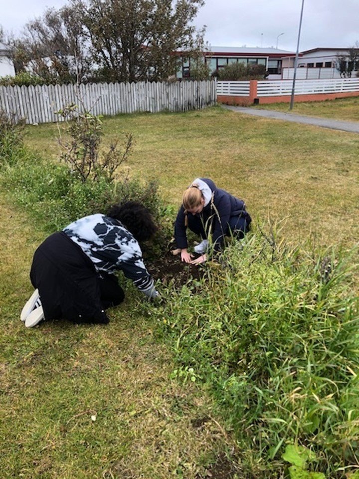 Dagur íslenskrar náttúru