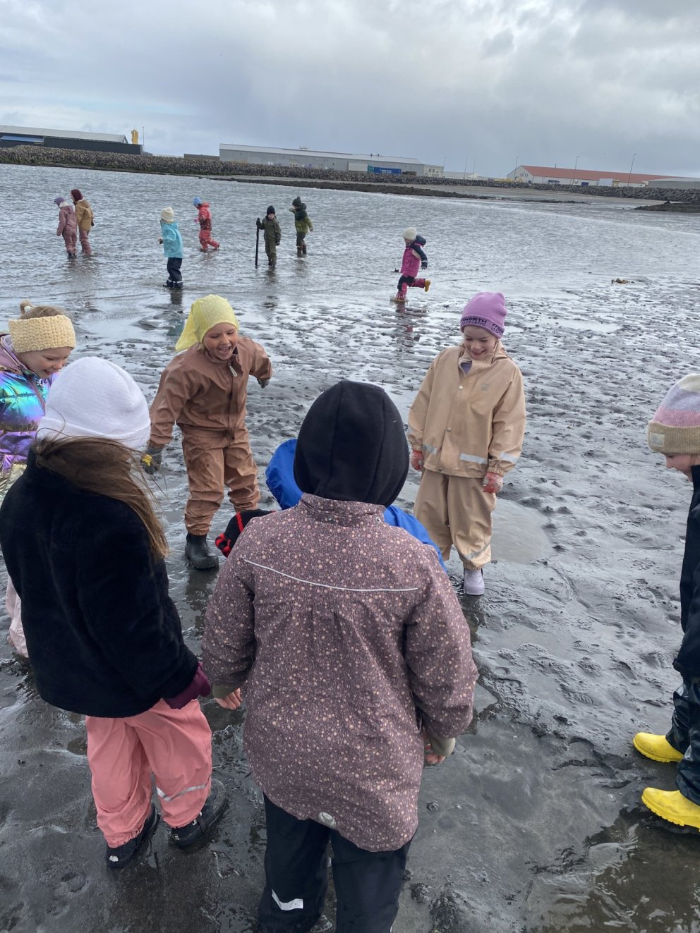 Fjöruferð - Samstarf grunn- og leikskóla