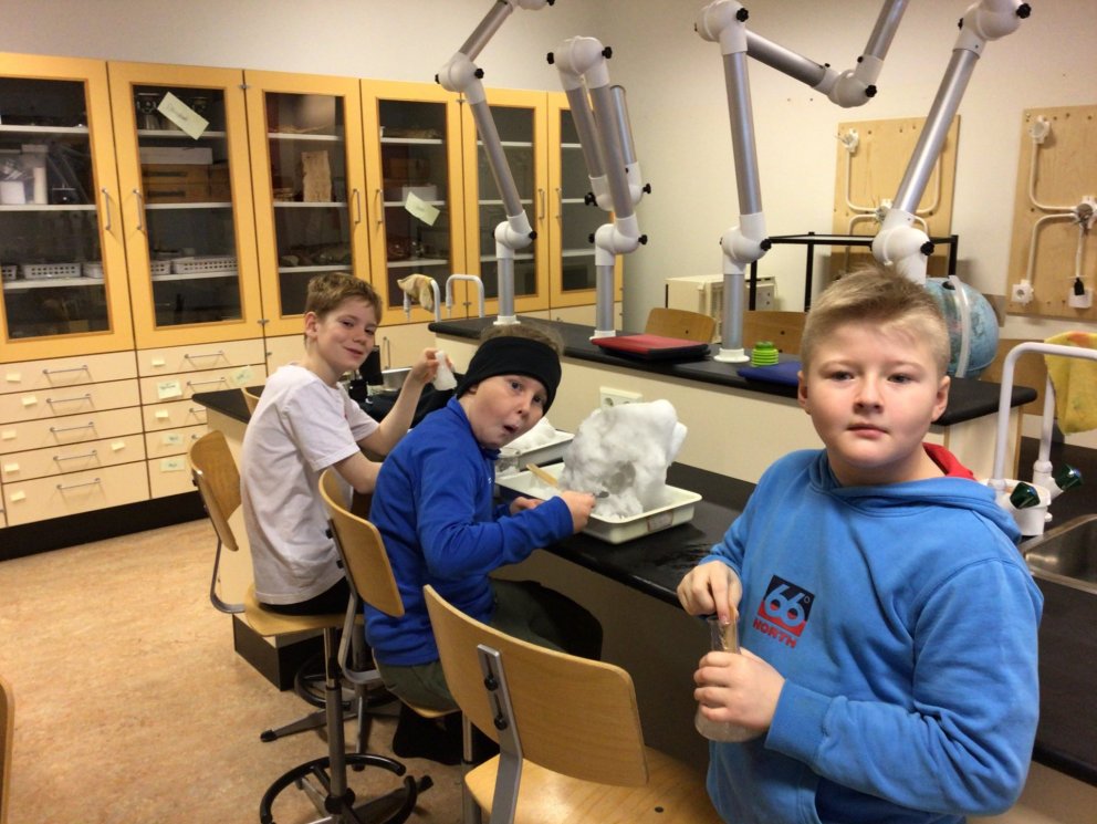 Snjósnillingar í tilraunavali