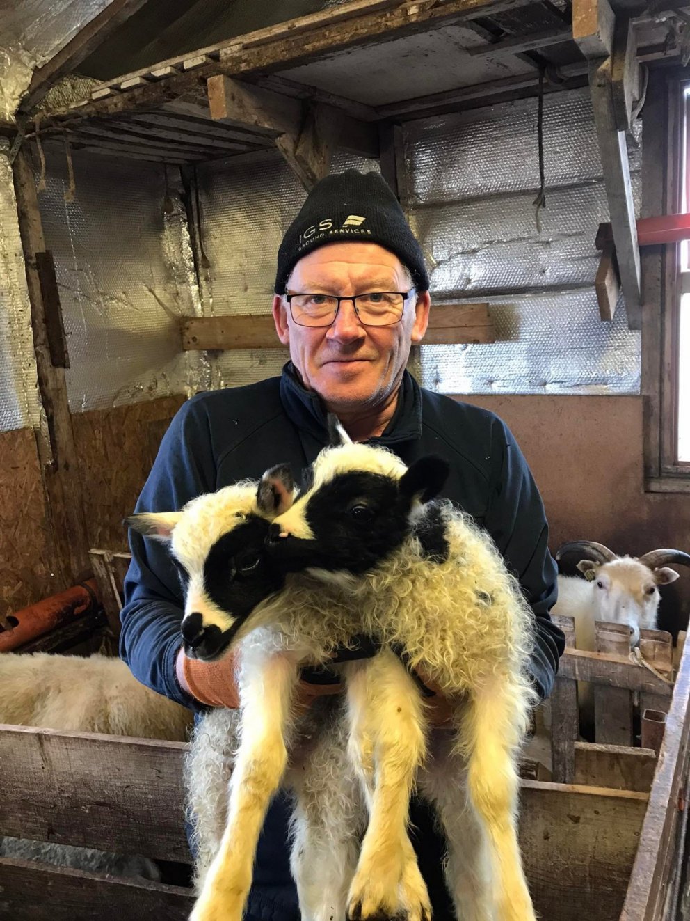 Vettvangsferð  í fjárhúsið