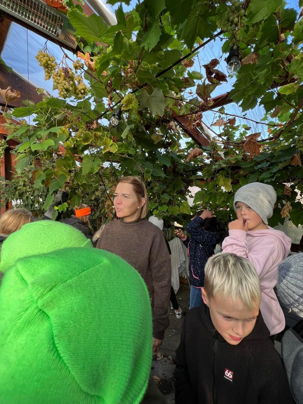 5. bekkur fór í heimsókn í Hólshús