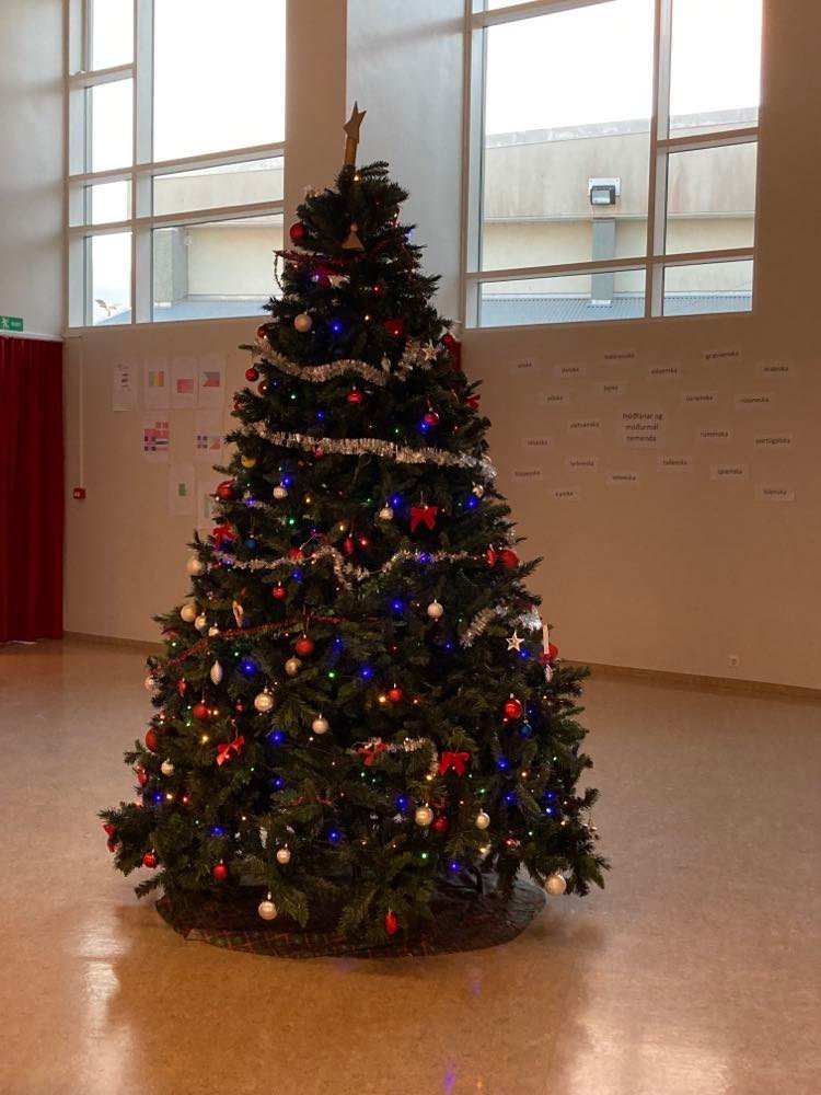 Jólatré skólans skreytt