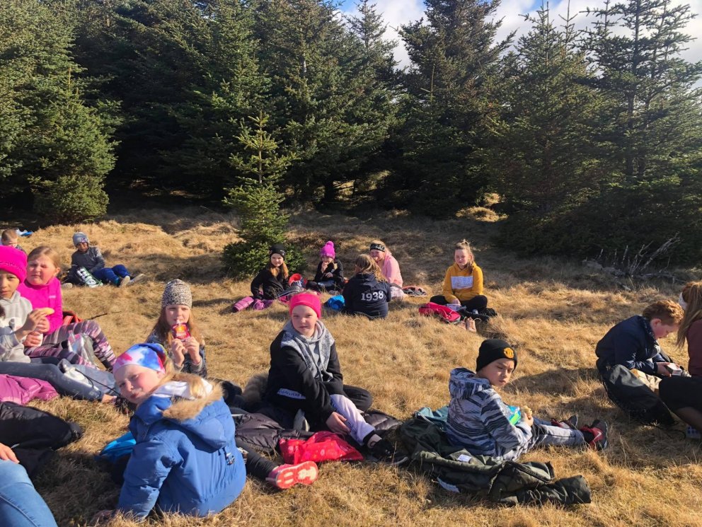 Heimsókn í týnda skóginn