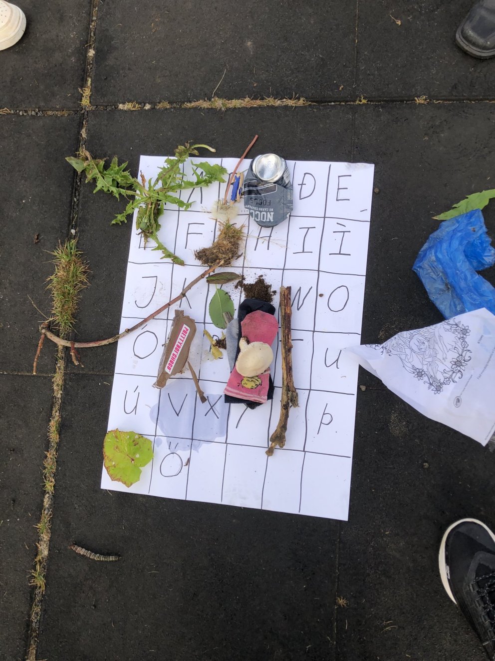 Dagur íslenskrar náttúru