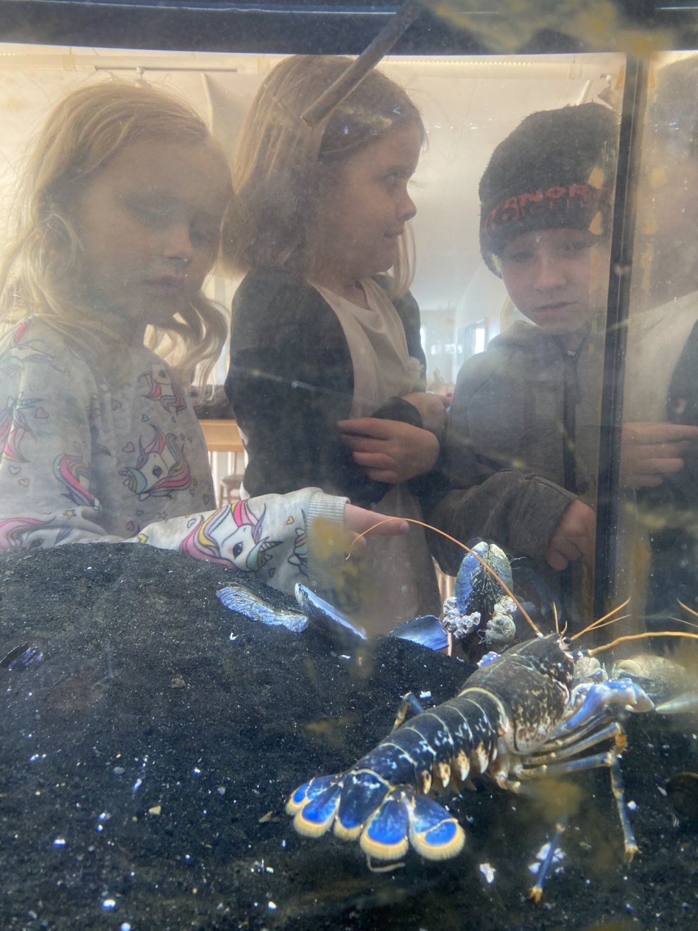 Nemendur í 1. bekk heimsóttu Þekkingarsetrið.